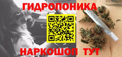 стафф Бугуруслан
