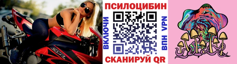 Псилоцибиновые грибы Magic Shrooms  маркетплейс состав  Гусев 