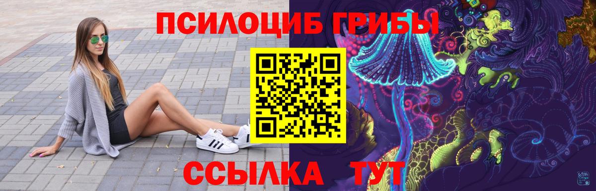 Гусев  купить   Псилоцибиновые грибы MAGIC MUSHROOMS  Вход с VPN  Галлюциногенные грибы мицелий 