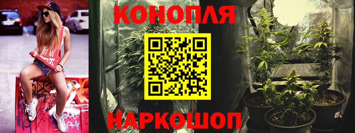 Конопля THC 21%  Вход с VPN  Марихуана Amnesia  Гусев  Каннабис планчик 